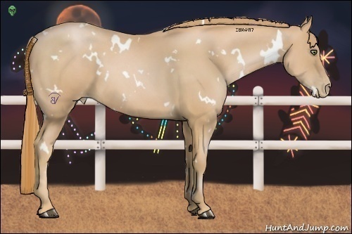 Horse Color:White Spotted Chestnut Pearl Frame 