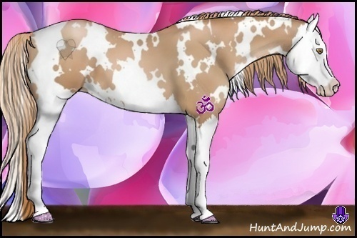 Horse Color:White Spotted Chestnut Pearl Splash 