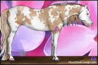 Horse Color:White Spotted Chestnut Pearl Splash