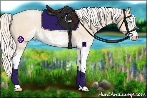 Horse Color:White Spotted Silver Buckskin Roan Pearl 