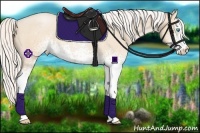 Horse Color:White Spotted Silver Buckskin Roan Pearl 