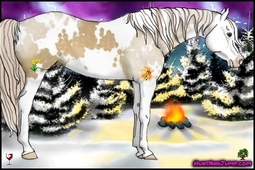 Horse Color:White Spotted Chocolate Palomino Dun Splash