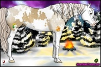 Horse Color:White Spotted Chocolate Palomino Dun Splash
