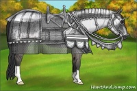 Horse Color:Grullo 