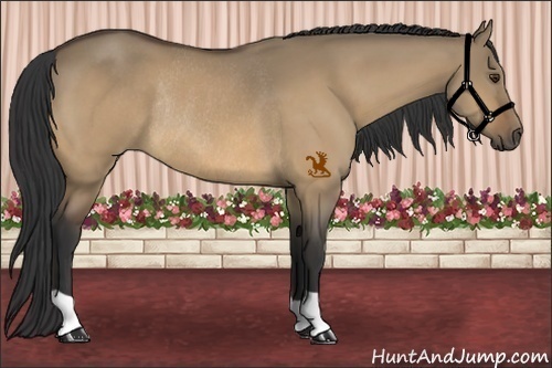 Horse Color:Buckskin Dun Rabicano 