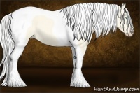 Horse Color:Silver Perlino Dun Tobiano 