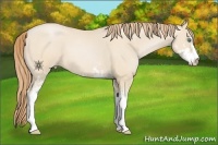 Horse Color:Smoky Black Pearl Sabino