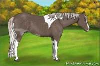 Horse Color:Silver Black Sabino Splash Tobiano