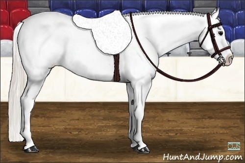 Horse Color:Silver Black Sabino Tobiano Varnish