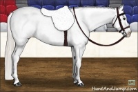 Horse Color:Silver Black Sabino Tobiano Varnish