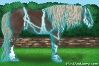 Horse Color:Thunderstruck Liver Chestnut Frame 