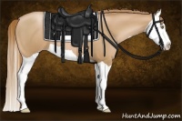 Horse Color:Chestnut Pearl Splash