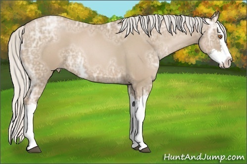 Horse Color:Silver Blue Ice Roan Pearl Splash 