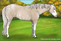 Horse Color:Silver Blue Ice Roan Pearl Splash