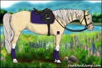 Horse Color:Silver Amber Champagne Dun 