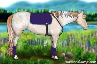 Horse Color:White Spotted Buckskin Roan Pearl 