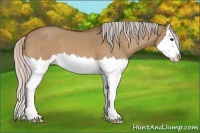 Horse Color:Silver Bay Roan Dun Splash 