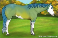 Horse Color:Watercolor Bay Splash