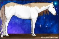 Horse Color:Red Dun Roan Splash