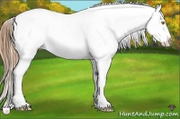 Horse Color:Bay Roan Pearl Leopard Rabicano