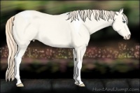 Horse Color:Perlino Dun Tobiano