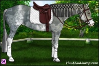 Horse Color:White Spotted Black Ice Tobiano 
