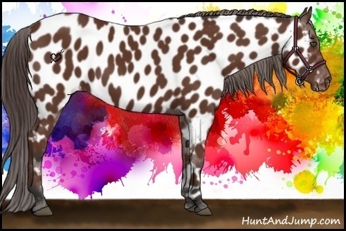 Horse Color:Bay Near Leopard 