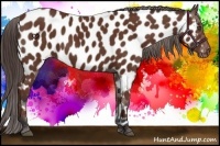 Horse Color:Bay Near Leopard 