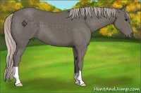 Horse Color:Silver Black 