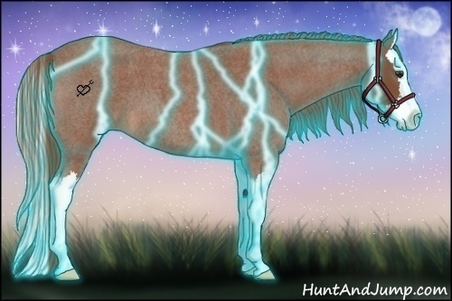 Horse Color:Thunderstruck Red Roan Splash