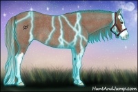 Horse Color:Thunderstruck Red Roan Splash 