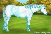 Horse Color:Thunderstruck White Spotted Silver Grullo Ice Roan