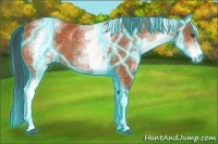 Horse Color:Thunderstruck White Spotted Bay 