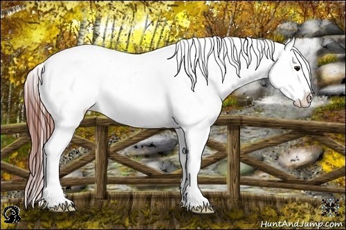 Horse Color:Bay Roan Dun Snowcap
