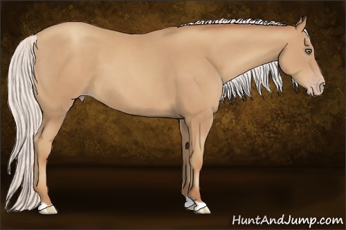 Horse Color:Silver Classic Champagne 