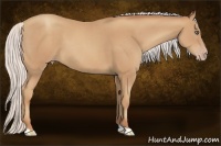 Horse Color:Silver Classic Champagne 