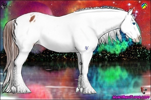 Horse Color:White Spotted Bay Splash Varnish 