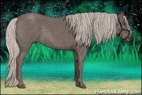 Horse Color:Silver Blue Roan 