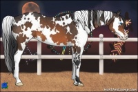 Horse Color:White Spotted Brown Splash Frame 