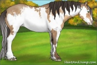 Horse Color:White Spotted Amber Champagne Splash Frame