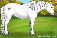 Horse Color:White Spotted Palomino Splash Frame Blanket Rabicano