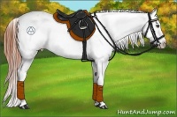 Horse Color:Bay Roan Dun Near Fewspot 