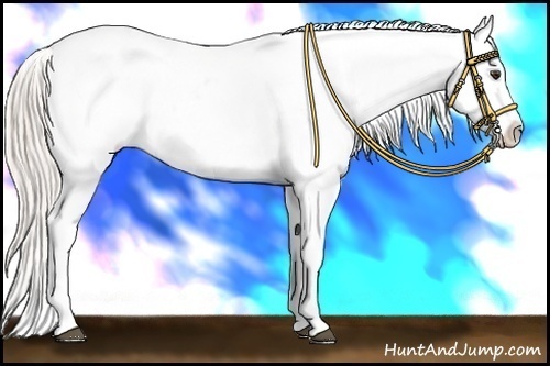 Horse Color:Silver Bay Dun Blanket 