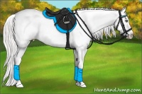 Horse Color:White Spotted Silver Buckskin Pearl Blanket 