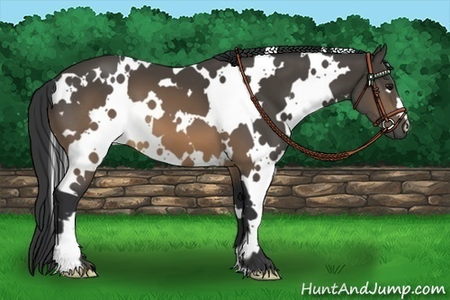 Horse Color:White Spotted Buckskin Frame 