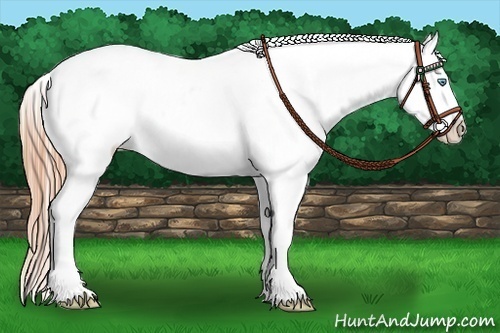 Horse Color:White Spotted Buckskin Pearl Blanket Rabicano