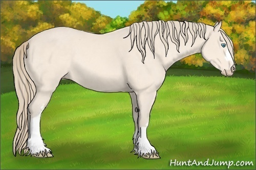 Horse Color:Perlino 