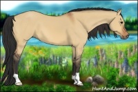 Horse Color:Bay Dun