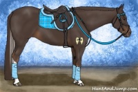 Horse Color:Liver Chestnut Tobiano