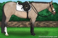 Horse Color:Bay Roan Dun 